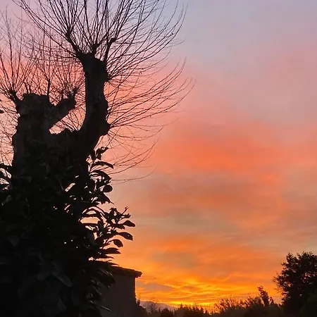 Quetzal, Clim, Jardin Et Parking * Perpiñán