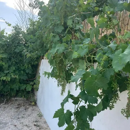 Quetzal, Clim, Jardin Et Parking Perpiñán