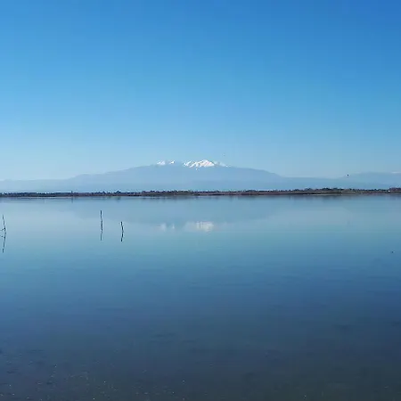 Apartamento Quetzal, Clim, Jardin Et Parking Perpiñán