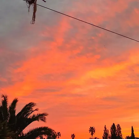 Quetzal, Clim, Jardin Et Parking Apartamento Perpiñán