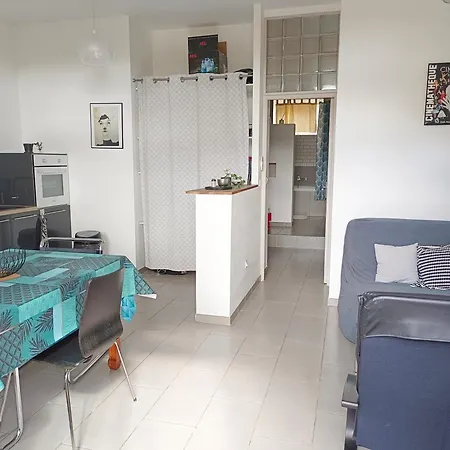Apartamento Quetzal, Clim, Jardin Et Parking Perpiñán