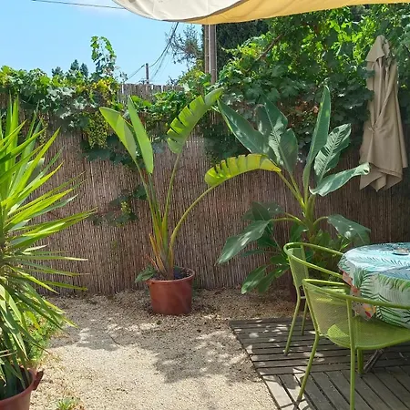 Quetzal, Clim, Jardin Et Parking * Perpignan